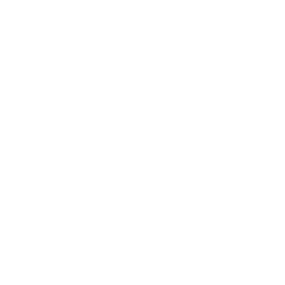 C++